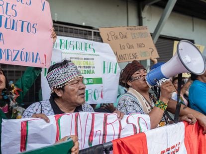 Julio Cusurichi y Jhomar Maynas en una protesta en Lima.