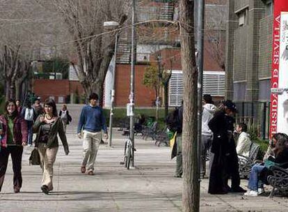 Alumnos en el campus de la Universidad de Sevilla.