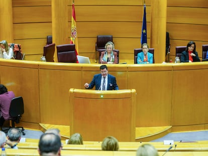 Debate en el Senado, este martes.