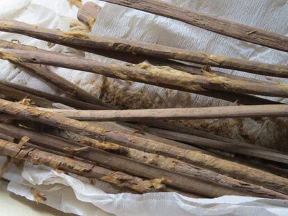 Los palillos higi&eacute;nicos usados en la letrina ten&iacute;an muestras de un gusano que se cr&iacute;a a 1.500 kil&oacute;metros de all&iacute;.