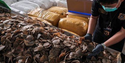 Un oficial de aduanas tailandés muestra parte del cargamento incautado de escamas de pangolín.
