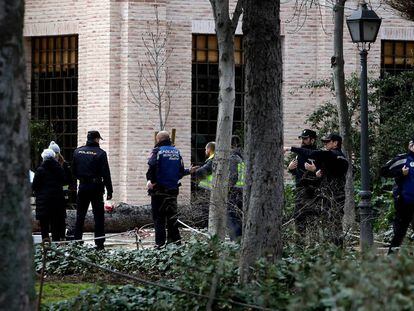 Policías y sanitarios, esta mañana, en la zona del accidente en el parque del Retiro. El árbol puede caído puede verse al fondo.