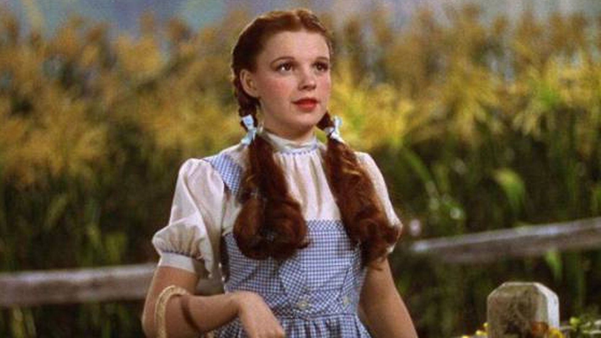 cable heroína Molesto Judy Garland: El vestido de Dorothy en 'El Mago de Oz', perdido durante 40  años, sale a subasta | Gente | EL PAÍS
