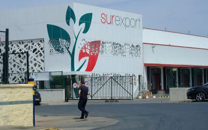 Las instalaciones de la empresa Surexport, el martes. 