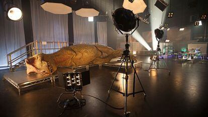 Colosal reproducción de un T. Rex en el plató donde se ha rodado un documental que recrea la autopsia a un tiranosaurio.