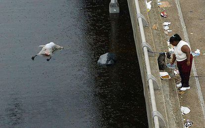 Una mujer de de comer a un perro mientras un cadáver flota en las aguas, el 1 de septiembre de 2005 en Nueva Orleans.