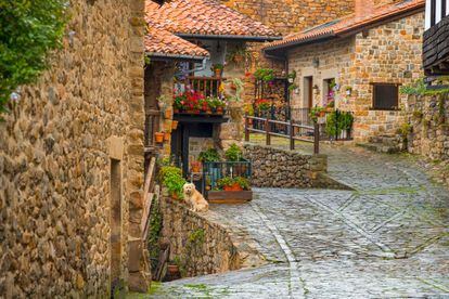 Ubicado en el corazón del parque natural Saja-Besaya, sus 84 habitantes presumen de vivir en el pueblo más antiguo de Cantabria. Sea o no cierto (no existen pruebas documentales definitivas), sí que son afortunadísimos ya que el sabor auténticamente montañés que conserva la aldea no parece real. Calles empedradas (cerradas al tráfico), casas barrocas de mampostería con soportales y balcones adornados de flores y el entorno natural de gran belleza, surcado por el río Argoza. Declarado Conjunto Histórico Artístico en 1979 e integrado en la Asociación de Los Pueblos Más Bonitos de España, sus dos vías principales (la Larga y la Calleja) están unidas por un entramado de estrechas callejuelas por las que deambular resulta un placer. El paseo debe pasar por la iglesia de Santa María, que conserva un hermoso retablo barroco, y el lavadero, rodeados de restaurantes y tiendas de productos locales. Desde el puente sobre el Argoza parten varias sendas, como la de la fuente Clara (de siete kilómetros y dos horas, aproximadamente) que ofrece vistas a los paisajes típicos del valle del Saja.