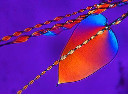 Génesis de estructuras nanocristalinas helicoidales.