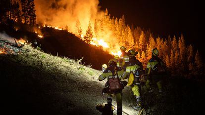 Varios bomberos forestales se enfrentan a un incendio en Tenerife, el pasado mes de agosto.
