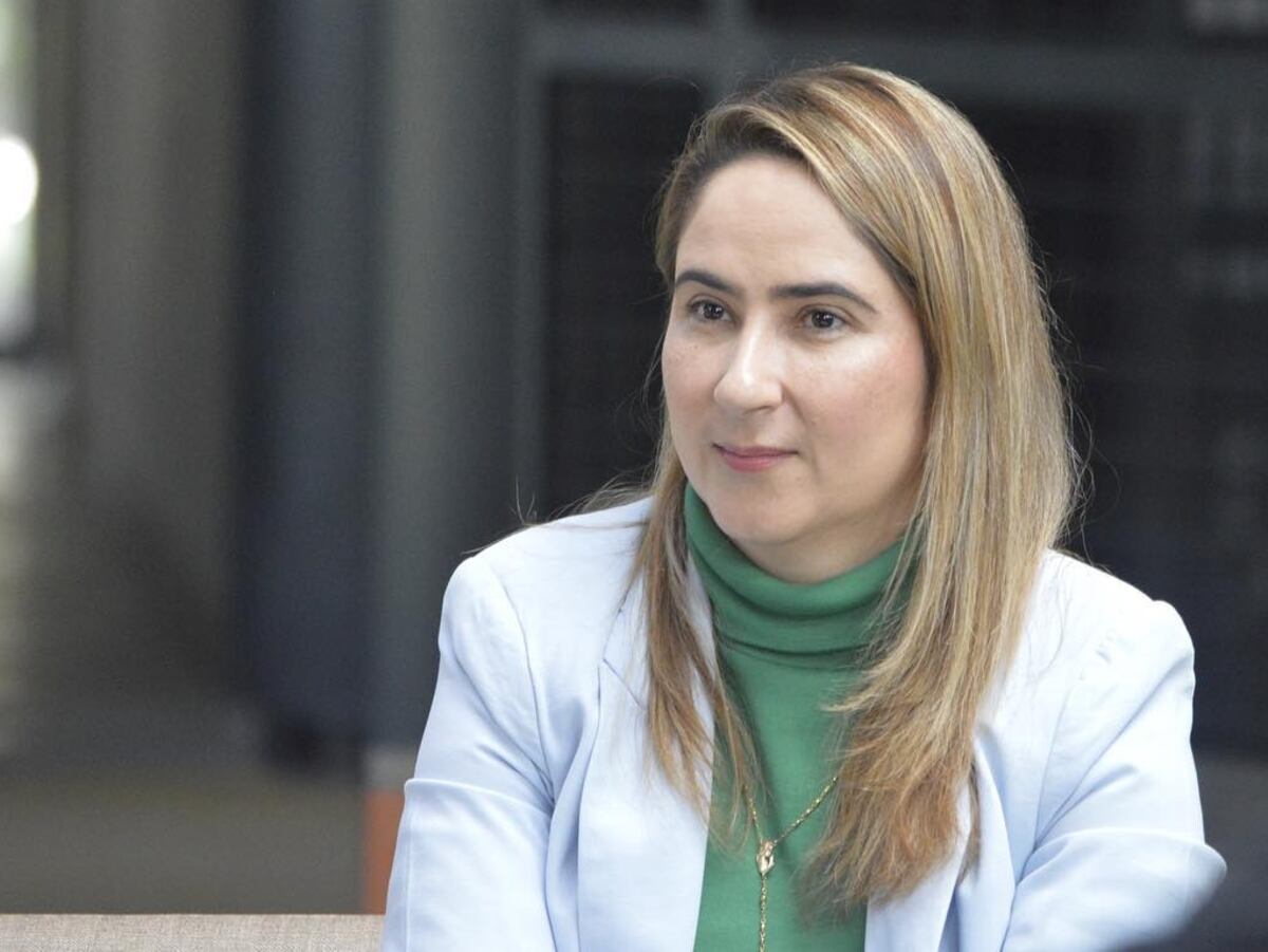 Alexandra Agudelo Un Escándalo De Corrupción Fuerza La Renuncia De La Secretaria De Educación 3851