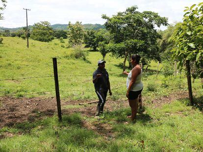 Linderos en una zona rural del departamento de Córdoba, en Colombia.