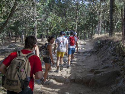 Parque Nacional de la Sierra del Guadarrama La Pedriza.