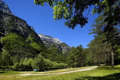Camping Pineta, en el valle homónimo del Pirineo aragonés.