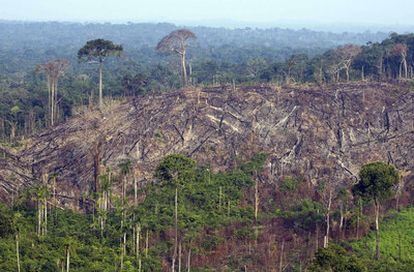 Foto aérea tomada a finales de 2009 muestra la destrucción ilegal de un sector de la selva amazónica en el estado de Pará