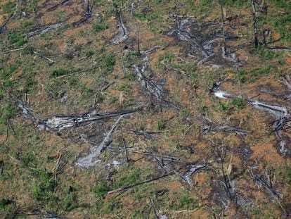 Una imagen aérea de la deforestación en la Amazonía, en el Estado brasileño de Rondonia.