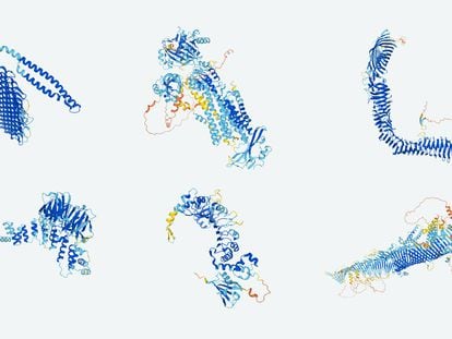 Protein structures predicted by the AlphaFold artificial intelligence system.