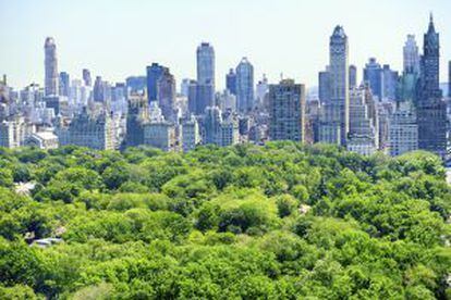 Vista del 'skyline' neoyorquino desde Central Park.