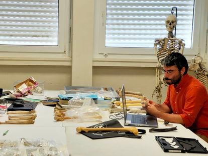 Los investigadores Franck Guy y Guillaume Daver analizan huesos en su laboratorio de la Universidad de Poitiers.