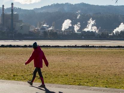 Una mujer pasea junto a la fábrica de Ence en Pontevedra.