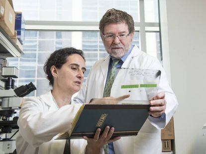 Los neur&oacute;logos Candelaria G&oacute;mez-Manzano y Juan Fueyo, en el Centro de C&aacute;ncer MD Anderson (EE UU).