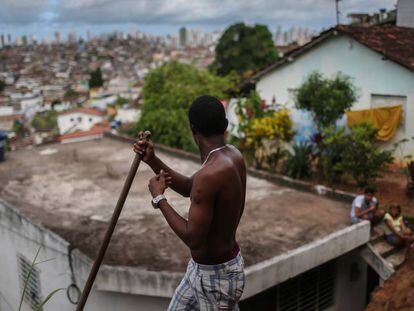 Brasil contin&uacute;a su batalla contra el virus Zika de cara a los JJ OO. 