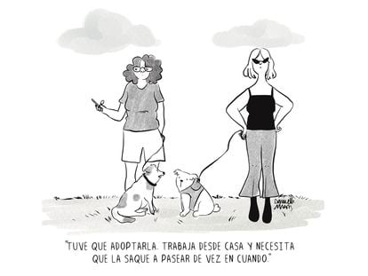 Adopción inversa, por Daniella Martí