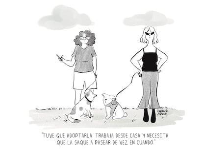 Adopción inversa, por Daniella Martí