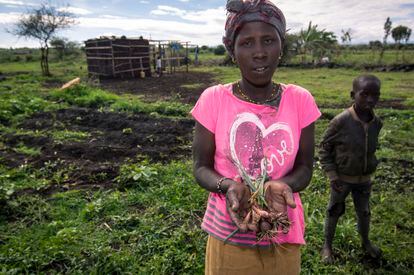 Josephine Kericho, de 25 años, vivía de vender carbón, lo que está prohibido en Kenia para frenar la deforestación. Ahora cultiva cebollas, entre otras hortalizas y cereales, pero las lluvias son escasas y el tamaño es pequeño. Por su venta gana de media un dólar al día, con lo que viven ella y sus cinco hijos en una casa de adobe y chapa.