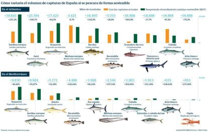 Cómo serían las capturas españolas con sistemas de pesca sostenible