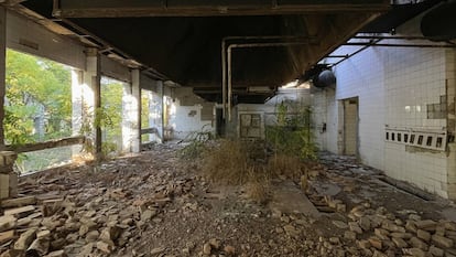 El campamento militar que devuelve la ilusión a Zamora