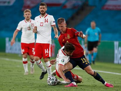 Dani Olmo trata de eludir a un jugador polaco durante el España-Polonia (1-1) disputado en La Cartuja el pasado 19 de junio.  / ALEJANDRO RUESGA