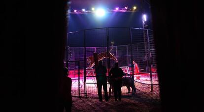 Interior del Circo Gottani, en Madrid.