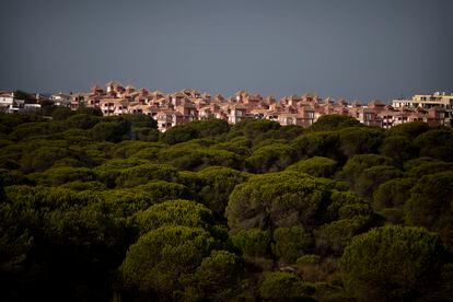 La macro urbanización de Matalascañas, vista desde la cota 32 del Parque Nacional de Doñana, punto más alto del espacio. / PACO PUENTES
