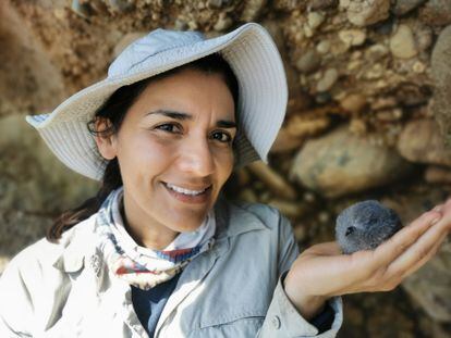 La ornitóloga mexicana Yuliana Bedolla sostiene un paíño ceniciento.