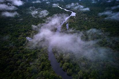 Vista aérea de la Reserva Extractivista de Riozinho do Anfrísio, tierra de comunidades ribereñas en la Terra do meio, Altamira, Pará.