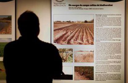 Un detalle de la exposición 'La Universitat de València y sus entornos: l'Horta de València'.