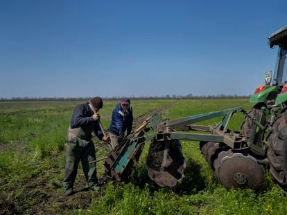 Dos granjeros trabajan en un campo de Potomkyne, en la región ucrania de Jersón, el 25 de abril.
