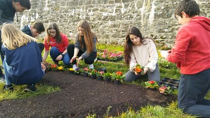 Los alumnos de 2º de la ESO del colegio Sagrado Corazón, en Pamplona, participan en el diseño y plantación de unos jardines.