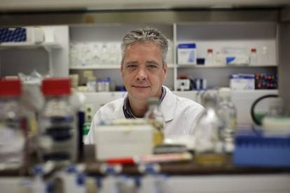 Ron Fouchier, en su laboratorio, en una foto de diciembre de 2011.
