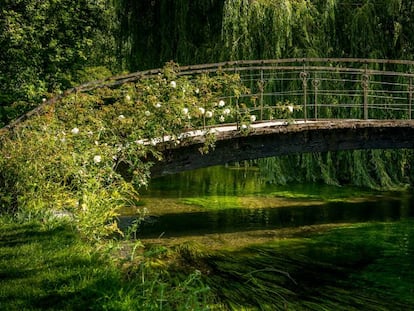 Monet pintó este puente japonés al menos 15 veces para “capturarlo bajo distintas luces”.