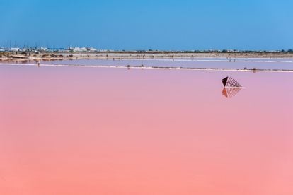Landscape of the Gruissan salt pans, about 20 minutes by car from Narbonne.