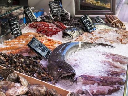 ¿Cuando comemos pescado también nos hartamos de plastiquetes?