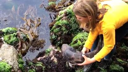 Una niña sin miedo rescata a un bebé de tiburón