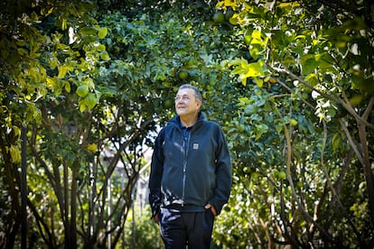 El antiguo director de la Tate Modern de Londres, Vicente Todolí, reivindica la tradición hortofrutícola de su tierra valenciana.
