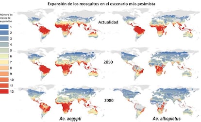 Esta es la proyección que hace el estudio para la expansión de las dos especies del mosquito Aedes en el escenario más pesimista, si las temperaturas subieran entre tres y siete grados de aquí a 2080. Los colores representan durante cuántos meses las temperaturas serían propicias para estos insectos. Pinchar en la imagen para aumentar.