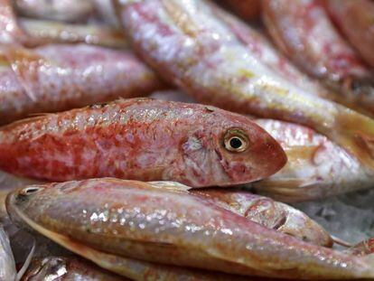 La cocina hermana las lecturas parecidas de los idénticos frutos del a misma pesca.