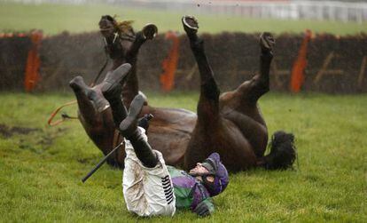 En la imagen, el jinete Tom O'Brien en el suelo junto con su caballo durante la Gala Ball en el hipódromo de Exeter (Reino Unido).