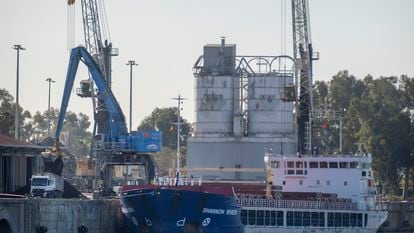 Una grúa descargaba residuos peligrosos procedentes de Montenegro desde el buque 'Shannon River', atracado en el Puerto de Sevilla, el lunes.