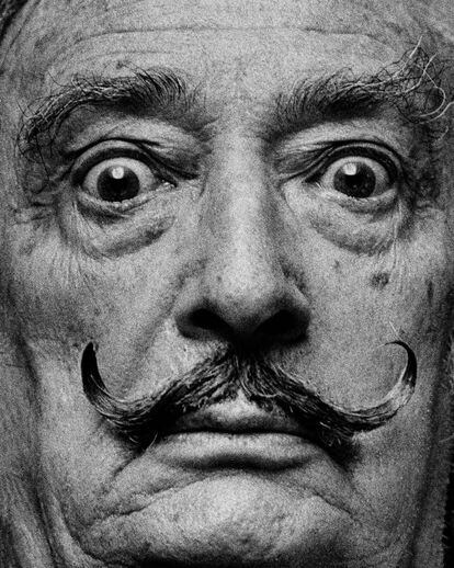 Retrato de Salvador Dalí durante una entrevista con EL PAÍS en Madrid, en noviembre de 1978.