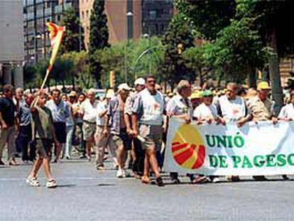 Imagen de la concentración celebrada ayer en Tarragona.